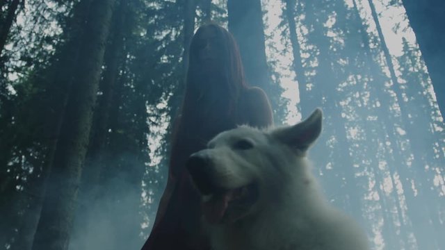 Low angle view of a girl with a dog