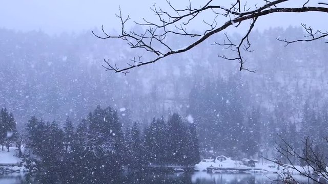 雪降る只見川（福島県・三島町）