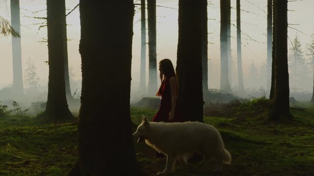 Girl walking in the forest with a dog