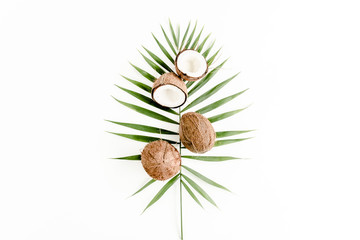 Tropical green palm leaf and cracked coconut on white background.  Nature concept. flat lay, top view