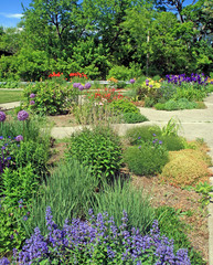 A June Garden
