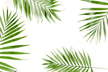 Obraz na płótnie Canvas Tropical green palm leaves on white background. flat lay, top view