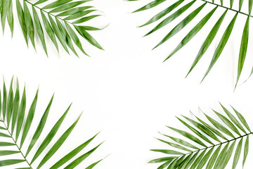 Plakat Tropical green palm leaves on white background. flat lay, top view