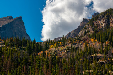 Willdlife in Rocky Mountain National Park