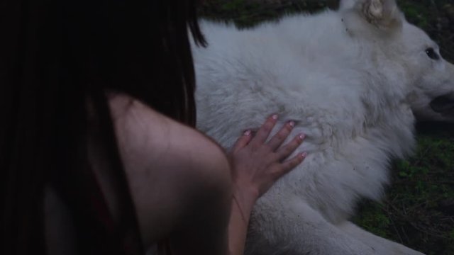 Caressing a white dog