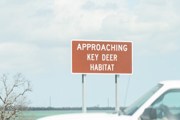 Key Deer habitat sign, approaching on road, street, traffic green sign on overseas highway, US1 route in Florida keys