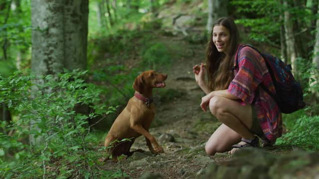 Girl throwing a stick for a dog to fetch