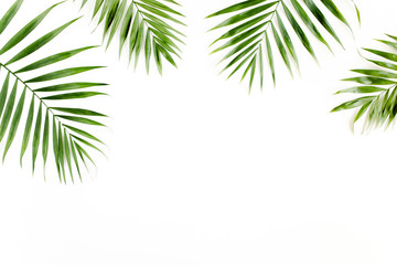 Naklejka na ściany i meble Tropical green palm leaves on white background. flat lay, top view