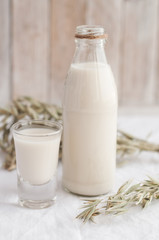 oat milk in a glass bottle with oat seeds