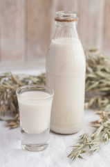 oat milk in a glass bottle with oat seeds
