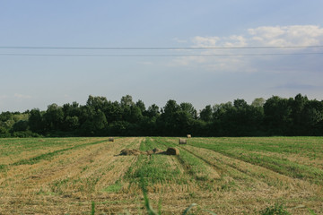 rural landscape with green field and bales of hay and blue sky