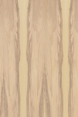 light brown ash-tree timber tree wood structure texture background backdrop