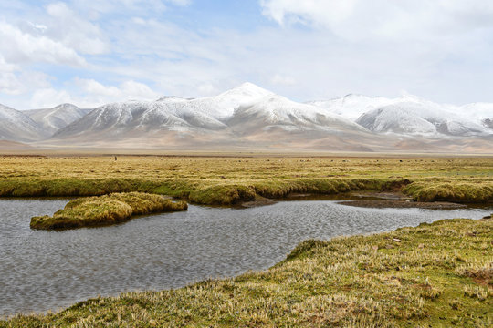 China, Tibetan plateau in the area between Gangke Yuke and Gongyok mountains in cloudy summer