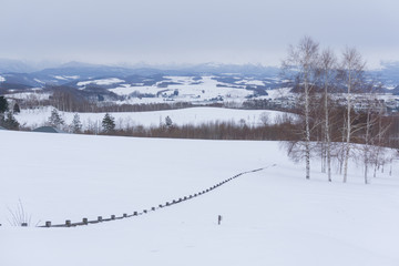 Biei in winter, Hokkaido, Japan