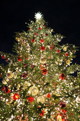 Fototapeta na wymiar 恵比寿ガーデンプレイスのクリスマスツリー(3)