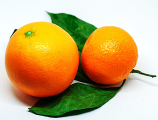 One bright orange ripe juicy orange and one tangerine on green leaves on white background