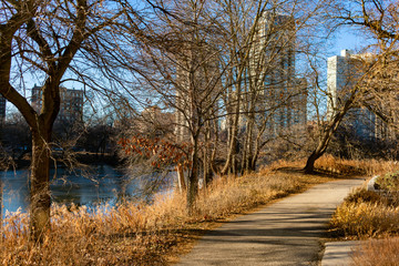 Path along North Pond during Autumn with the Afternoon Sun in Lincoln Park Chicago