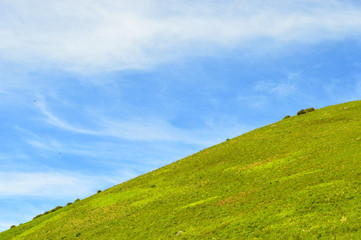 小高い丘（背景）