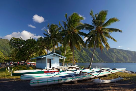 Kayaks on the beach with palm trees, Tahiti Iti, society islands, Windward Islands, French Polynesia, Oceania