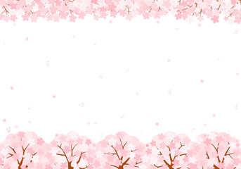 Fototapeta na wymiar 桜の音符　背景　イラスト