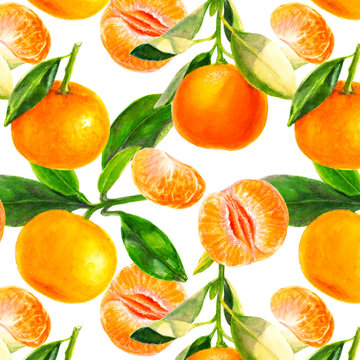 Watercolor hand drawn branch of tangerine with green leaves seamless pattern.