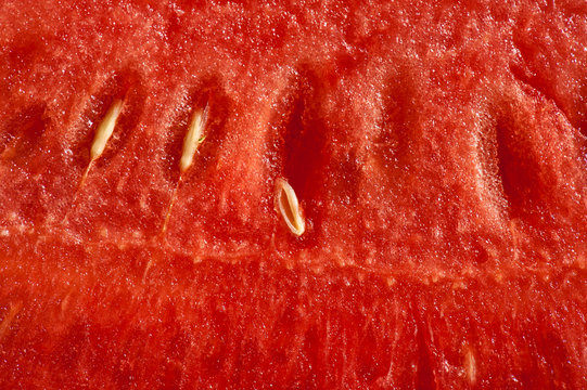 Querschnitt durch eine Wassermelone
