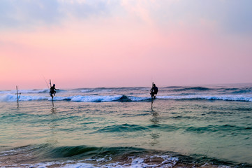 Fototapeta premium Traditional stilt fishermen in Sri Lanka.