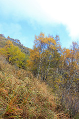 Fototapeta premium mountain natural scenery