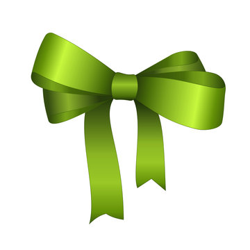 Vector Green Gift Bow Close up Isolated on White Background