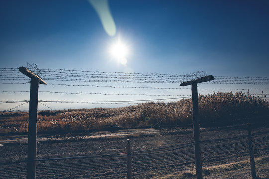 barbed wire and field