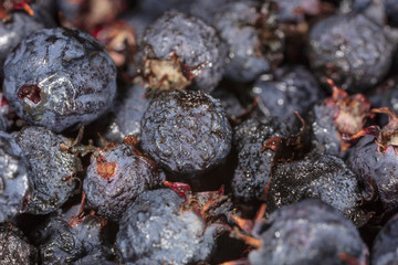 Amelancher ripe berries as a background