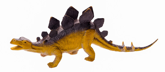 Stegosaurus dinosaur toy figure, isolated on white background