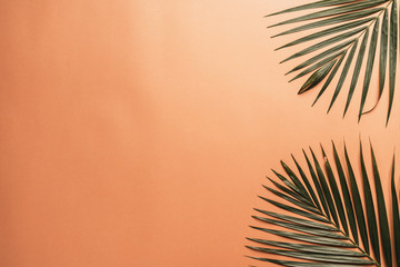 Tropical palm leaves with copy space