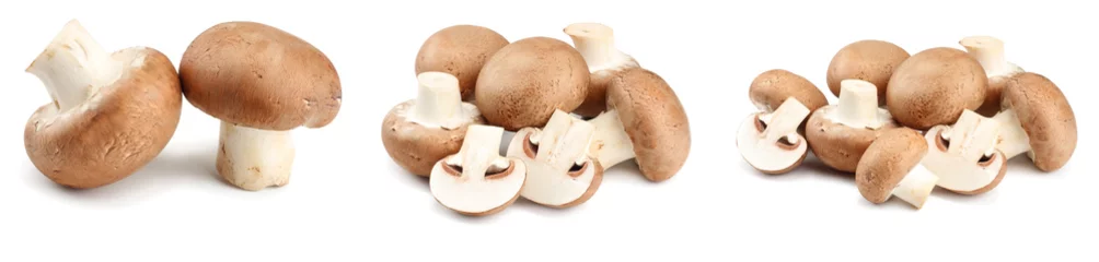 Cercles muraux Légumes frais Fresh champignon mushrooms isolated on white background