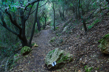 Wadi Siah in Haifa