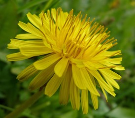 Помоги себе сам.