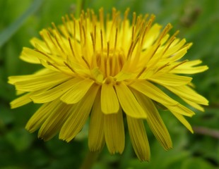 Помоги себе сам.