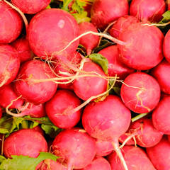 organic radishes closeup top view, red green natural background