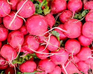 organic radishes closeup top view, red green natural background