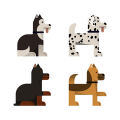 Dogs. Doberman, shepherd, husky and dalmatian.