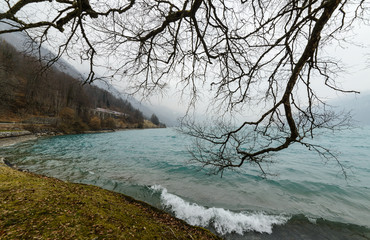 View on Brienz lake wave tide through branches of trees with train in background, Switzerland, Canton of Bern