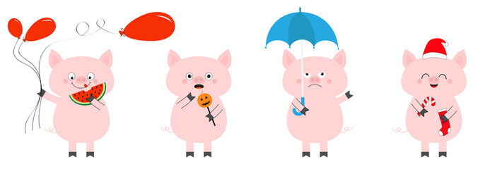 Pig piglet set. Balloon, watermelon, pumpkin halloween, umbrella, sock candy cane, Christmas Santa hat. Cute funny cartoon animal character. Flat design White background. Isolated.