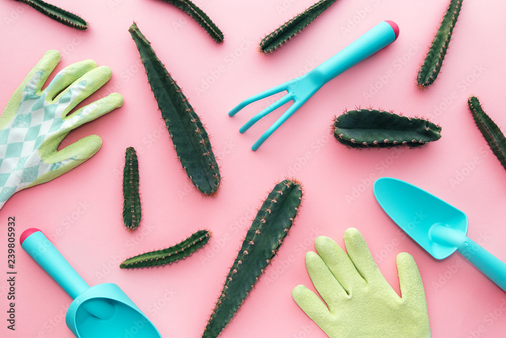 Wall mural gardening tools with cactus on a pink background, creative flat lay gardening concept