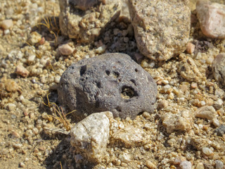 Closeup of a volcanic rock in the sand texture background