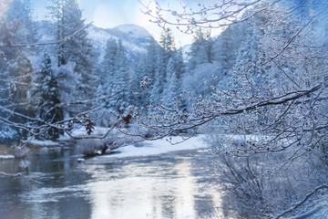 Winter in Yosemite