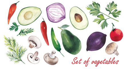  Vegetable set of avocado, pepper, paprika, greens, onions, mushrooms and tomatoes. Watercolor illustration.