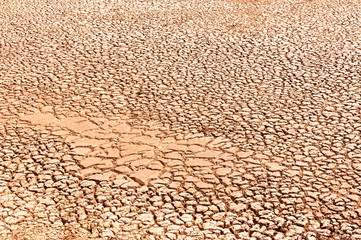 texture of mud crack