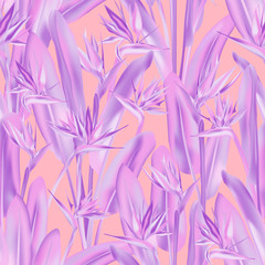 Strelitzia reginae tropical flower vector seamless pattern. Jungle plant paradise tropical summer fabric design. South African plant tropical blossom of crane flower, strelitzia. Floral textile print.