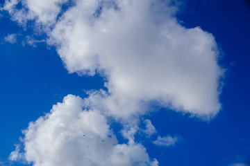 Blue sky with white clouds