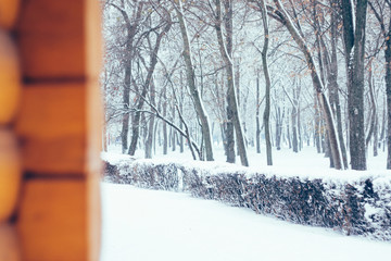 Winter nature background, landscape. Winter forest, park with snowy trees and corner of the wooden house. Winter weather; snow drifts. A lot of snow. Selective focus. Copy space